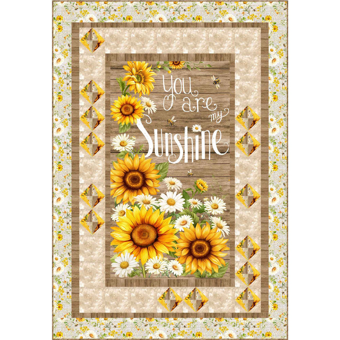 Lanterns | Quilt Kit | 46x66