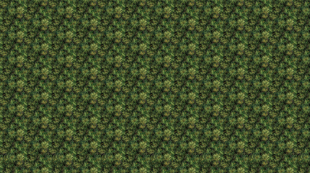 Bear's Den | Pine Needles | Dark Green