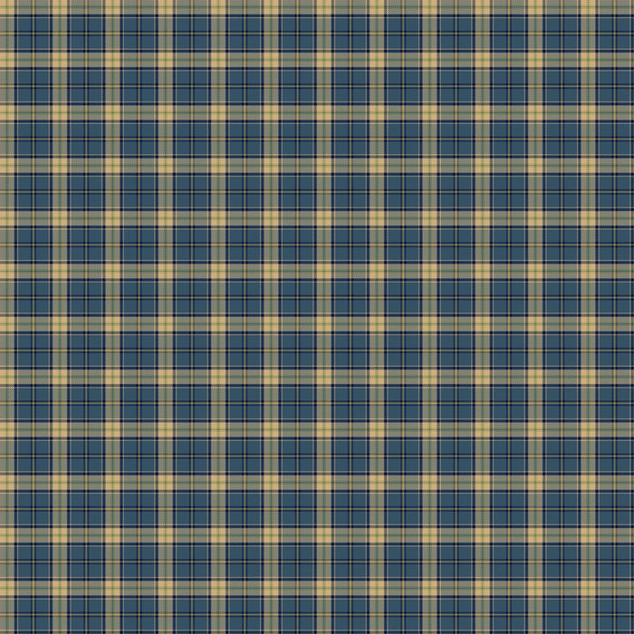 Birchwood | Plaid | Dark Blue Multi | 29110-45