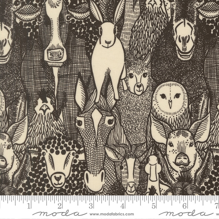 The Henhouse | Barnyard Faces | Novelty Animals | Iron | 48431 20