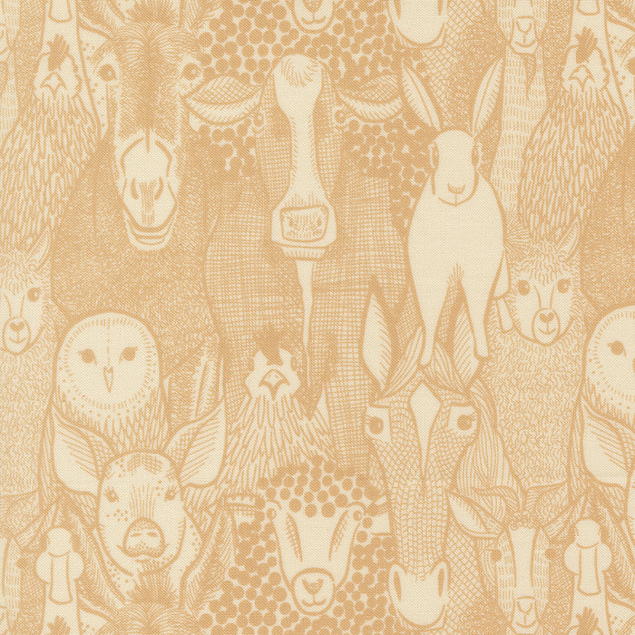 The Henhouse | Barnyard Faces | Novelty Animals | Hay | 48431 13