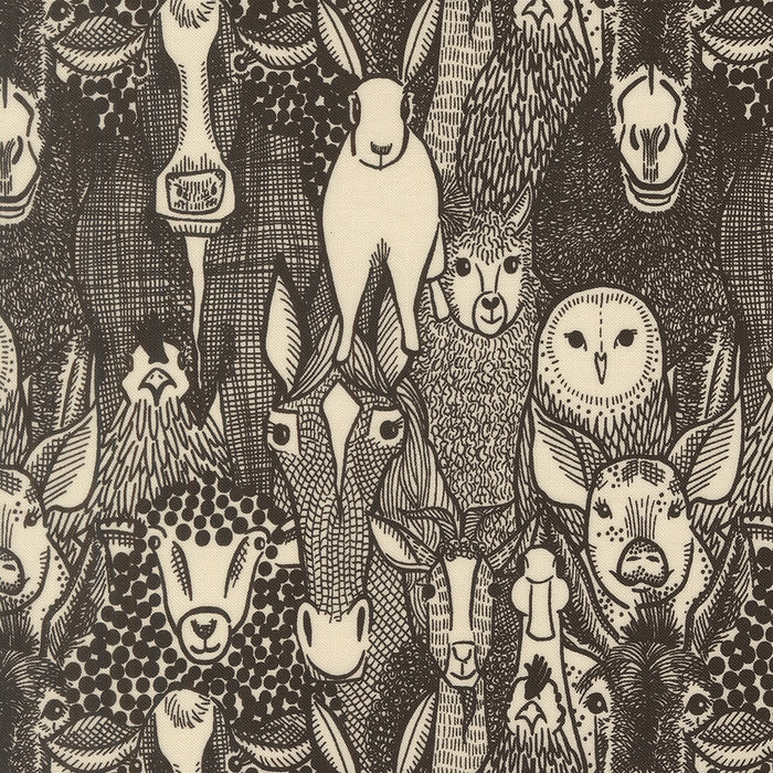 The Henhouse | Barnyard Faces | Novelty Animals | Iron | 48431 20