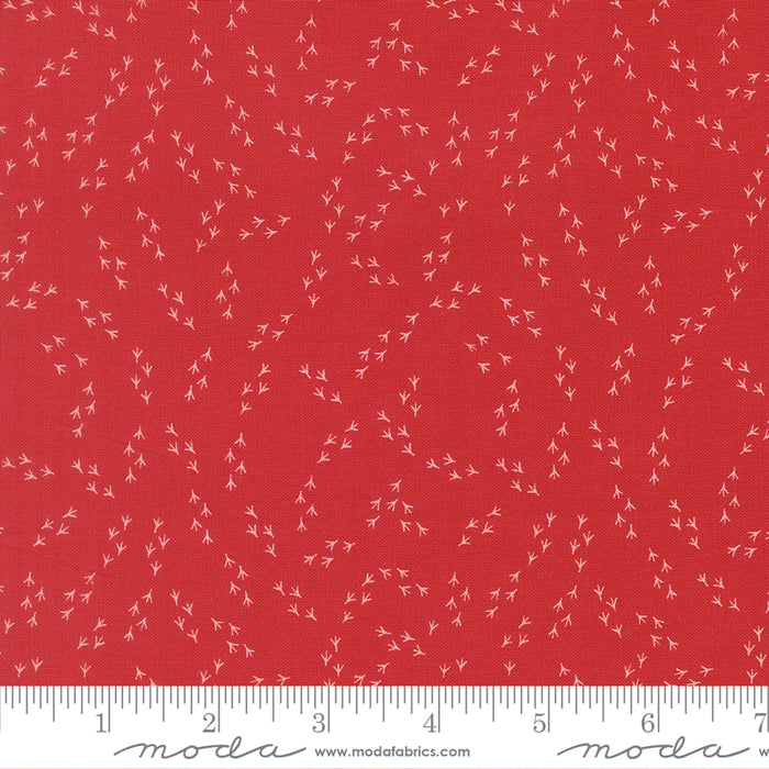 The Henhouse | Chicken Feet | Blenders | Barn | 48438 16