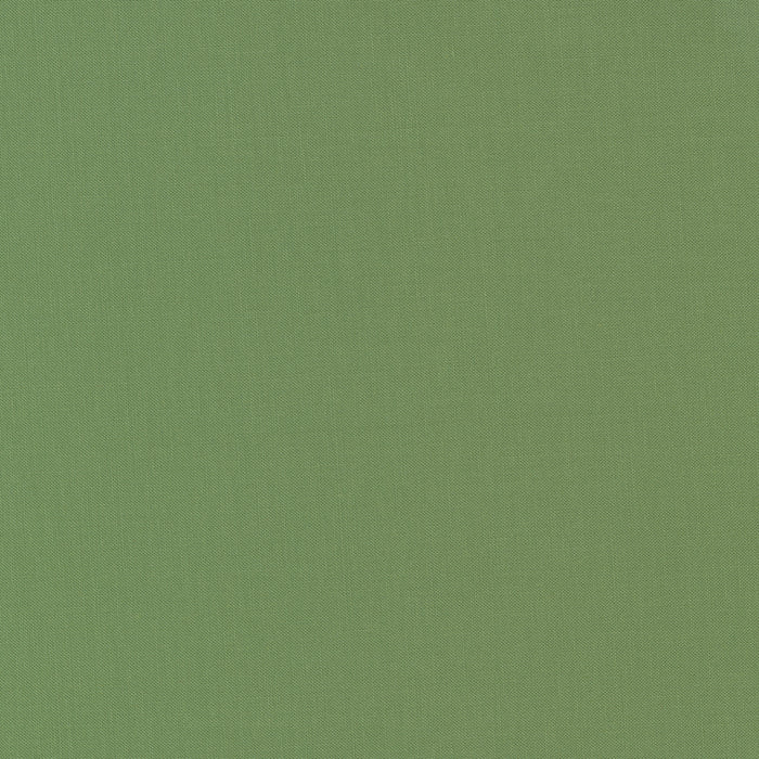 Bella Solids | Prairie Green | 9900 102