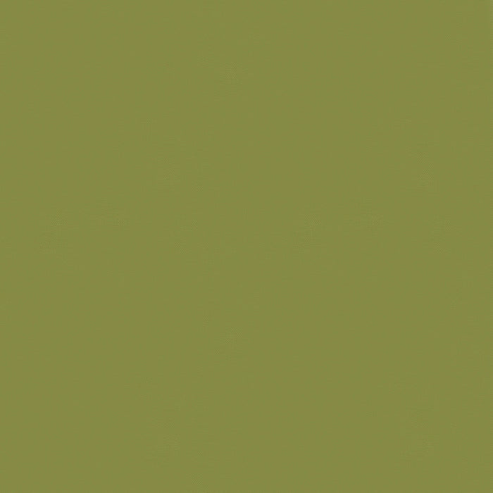 Bella Solids | Lichen | 9900 458