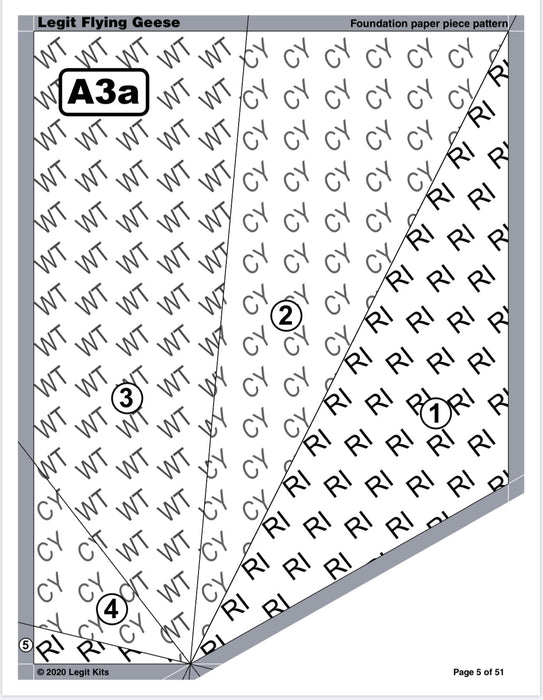 Flying Geese Quilt Kit