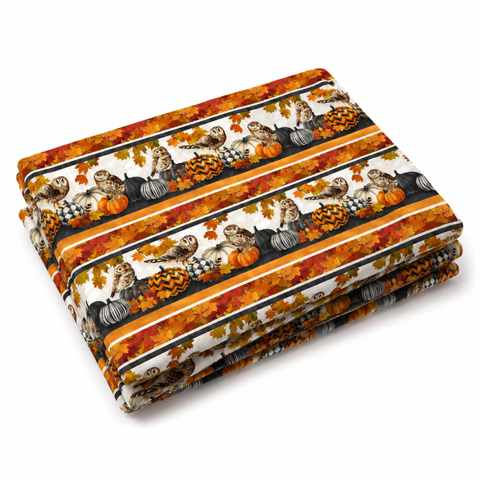 Night Owl | Border Stripe | Charcoal Multi