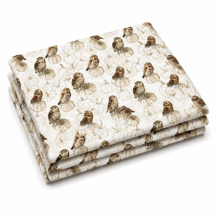 Night Owl | Owls | Cream Multi