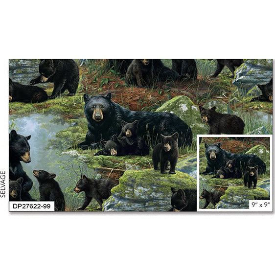 Bear's Den | Bear Scenic | Black Multi