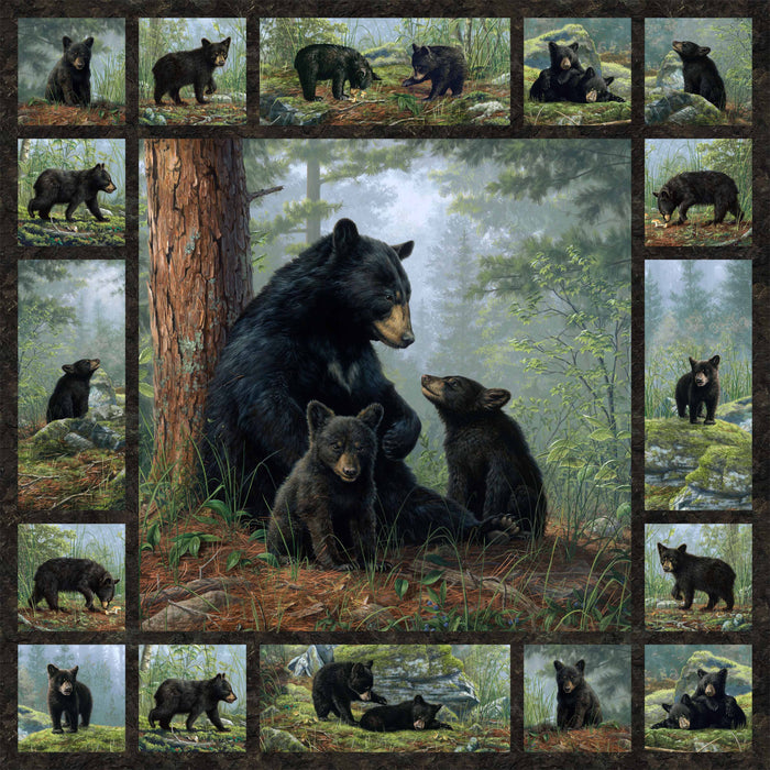 Bear's Den | Bear Panel | Black Multi