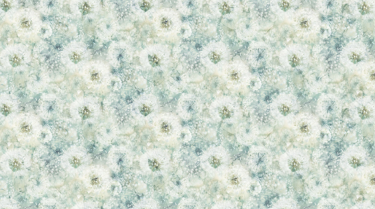 Whisper | DP28702-62