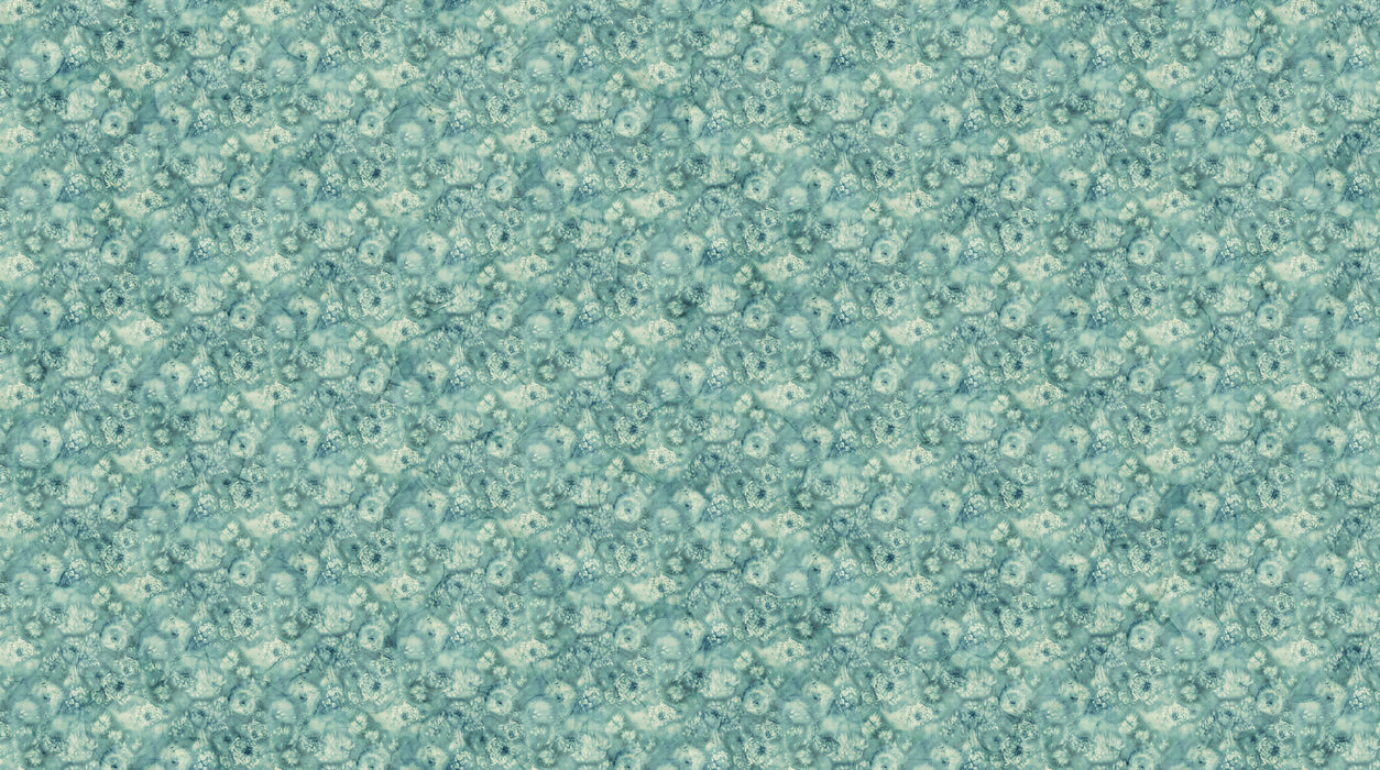 Whisper | DP28704-66