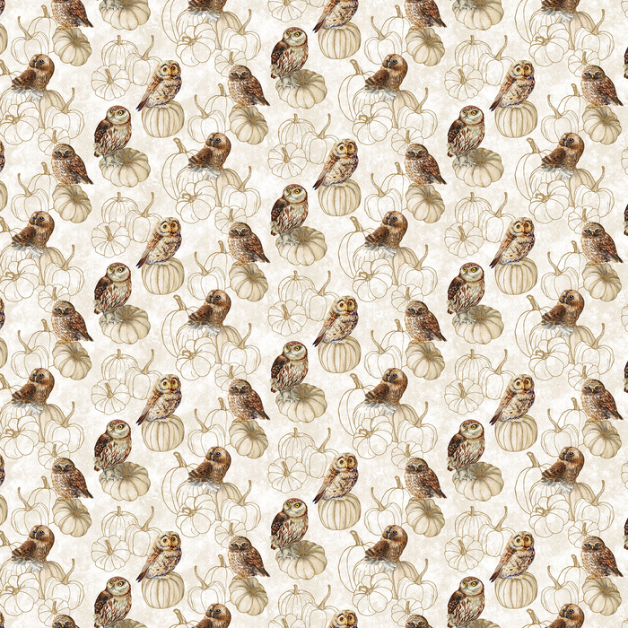 Night Owl | Owls | Cream Multi