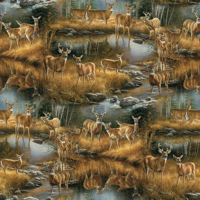 Birchwood | Scenic | Tan Multi | DP29107-14