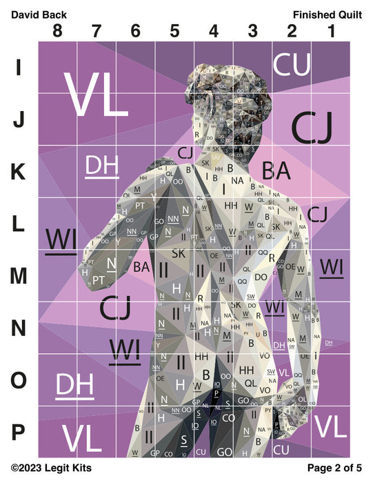David Back Pattern