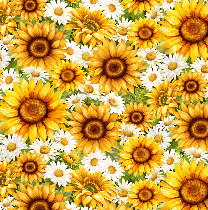 You Are My Sunshine | Packed Daisies & Sunflowers | Sunflower
