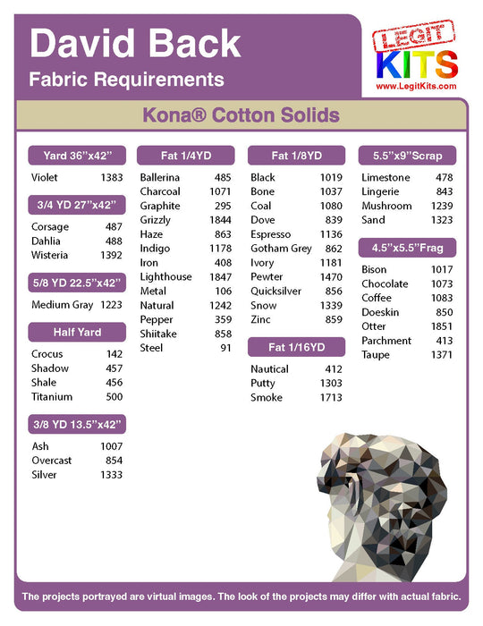 David Back Quilt Kit