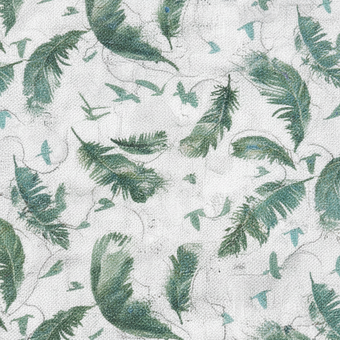 Feathers Close-Up Detail