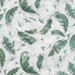 Feathers Close-Up Detail