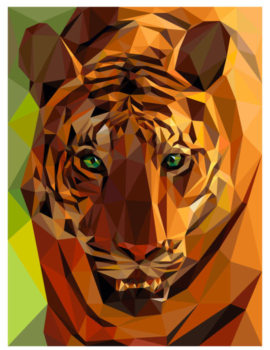Tiger Pattern