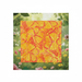 Yellow Red Butterfly Fabric